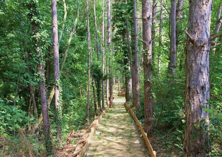 Аппартамент Pines Beach Resort Byala  Ngoại thất bức ảnh